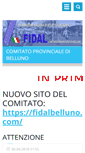 Mobile Screenshot of fidalbelluno.webnode.com