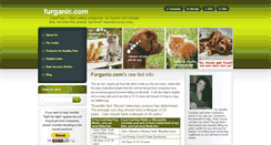 Desktop Screenshot of furganic.webnode.com