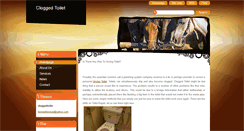 Desktop Screenshot of cloggedtoilet.webnode.com