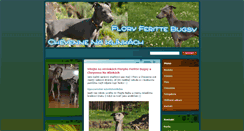 Desktop Screenshot of italskychrtik-flory.webnode.cz