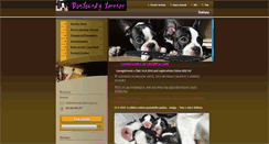 Desktop Screenshot of bostons.webnode.cz