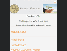 Tablet Screenshot of fluidum-dor.webnode.cz