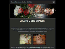 Tablet Screenshot of chs-chanel.webnode.sk