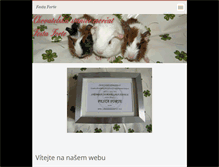 Tablet Screenshot of festaforte.webnode.cz