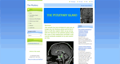 Desktop Screenshot of mda06hs.webnode.com