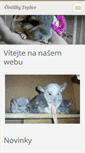 Mobile Screenshot of cincila-chov.webnode.cz