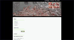 Desktop Screenshot of mgrmarketingservice.webnode.com