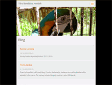 Tablet Screenshot of korelice.webnode.cz