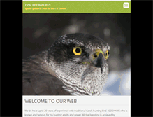 Tablet Screenshot of czechgoshawks.webnode.cz