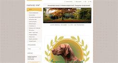 Desktop Screenshot of bashabell.webnode.cz