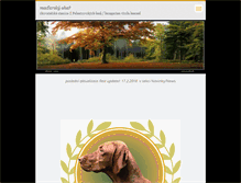 Tablet Screenshot of bashabell.webnode.cz