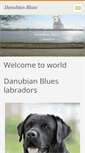 Mobile Screenshot of danubian-blues.webnode.com
