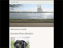 Tablet Screenshot of danubian-blues.webnode.com