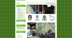 Desktop Screenshot of productividadbufalos.webnode.es