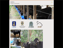Tablet Screenshot of productividadbufalos.webnode.es