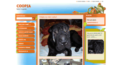 Desktop Screenshot of coppy.webnode.cz
