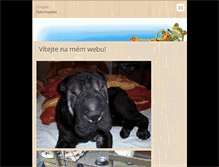 Tablet Screenshot of coppy.webnode.cz