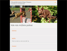 Tablet Screenshot of gingertreasure.webnode.cz