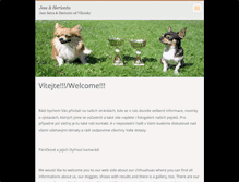 Tablet Screenshot of chihuahua-doggies.webnode.cz