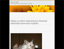 Tablet Screenshot of barevnemysky.webnode.cz