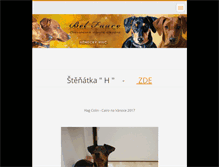 Tablet Screenshot of bel-faaro.webnode.cz