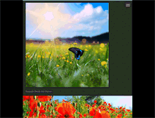 Tablet Screenshot of nayiquinones.webnode.cl