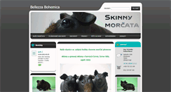 Desktop Screenshot of bellezzabohemica.webnode.cz
