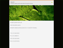 Tablet Screenshot of diyabet.webnode.com
