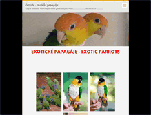 Tablet Screenshot of amazoniky.webnode.sk