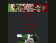 Tablet Screenshot of golddustyorkshire.webnode.cz