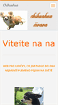 Mobile Screenshot of chihuahua.webnode.cz