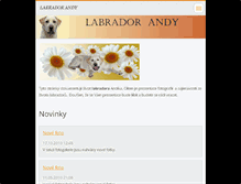 Tablet Screenshot of andy-labrador.webnode.cz
