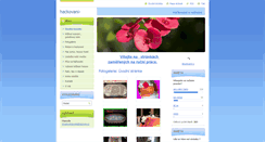 Desktop Screenshot of hackovani-vysivani.webnode.cz