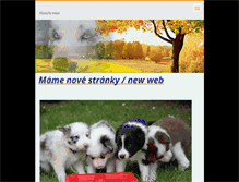 Tablet Screenshot of hamyfa.webnode.cz
