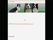 Tablet Screenshot of bclucky.webnode.cz