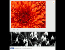 Tablet Screenshot of lbidova.webnode.cz