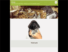 Tablet Screenshot of nikolaj.webnode.cz