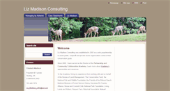 Desktop Screenshot of lizmadisonconsulting.webnode.com