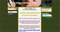 Desktop Screenshot of lourayorkiepupsbasket.webnode.com