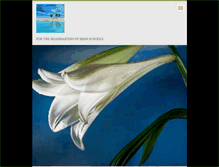 Tablet Screenshot of aphmsassnatp.webnode.com