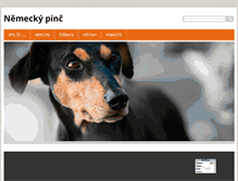 Tablet Screenshot of pincove.webnode.cz