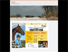 Tablet Screenshot of jkbetty.webnode.sk