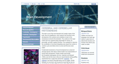 Desktop Screenshot of brain-development.webnode.com