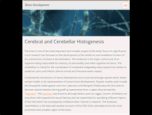 Tablet Screenshot of brain-development.webnode.com
