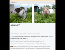 Tablet Screenshot of chs-happypets.webnode.cz