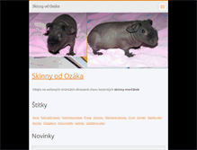Tablet Screenshot of chsodozaka.webnode.cz