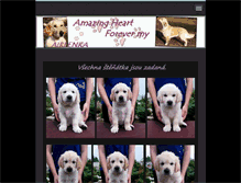 Tablet Screenshot of amazing-heart.webnode.cz