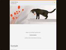 Tablet Screenshot of catiescleaningservis.webnode.cz