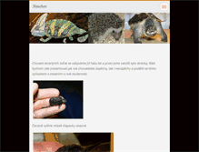 Tablet Screenshot of naschov.webnode.cz
