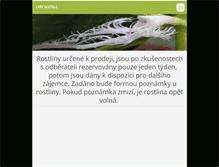 Tablet Screenshot of orchidea-mandlik.webnode.cz